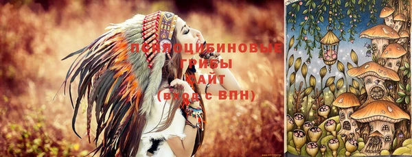 не бодяженный Богородицк