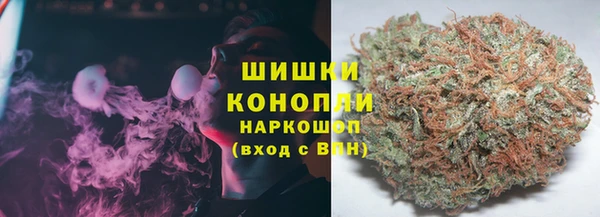 PSILOCYBIN Богородск