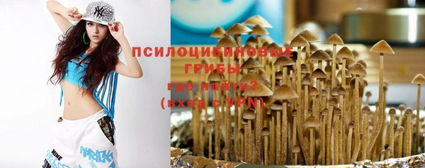 PSILOCYBIN Богородск