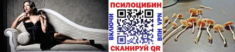 Купить где  Краснослободск  Псилоцибиновые грибы ЛСД 